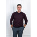 Woolen World Eyelet Zero Collar Regular Fit Men's Sweater