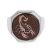 Sterling Silver Men's Zodiac Sign Scorpio Silver-Bronze Color Sides Simple Model Transparent Enameled