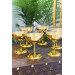 Single Gold Footed Glass Cup & Ice Cream Holder