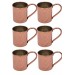Turna Copper Cup 1 No. Straight 330 Ml Set Of 6 Red Turna0481-61