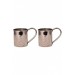 Turna Copper Cup Cup 2 No. Straight 450 Ml Set Of 2 Nickel Turna0452-22