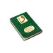 Mother's Day Gift Velvet Covered Quran Medium Size Green