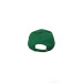 قبعة (طاقية) كاب أساسية نسائية لون اخضر