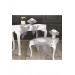 Azra Kordone Luxury 5-Piece Velvet Fabric Living Room Bedspread Set Cream-Silver Color