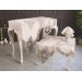 Elit 5-Piece French Chanel And French Guipure Bedspread Set For Living Room Gold-Acro/Off-White/Light Cream