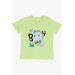 Baby Boy Shorts Set, Sailor Dinosaur Printed, Pistachio Green (9 Months)