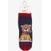 Boy Socks Teddy Bear Patterned Indigo (1-8 Years)