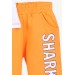 Boys Shorts Set Shark Printed Ecru (1.5-5 Years)