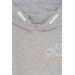 Boy's Sweatshirt Hooded Text Printed Light Gray Melange (Ages 9-16)