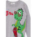 Boy Long Sleeve T-Shirt Dinosaur Printed Gray Melange (2 Years)