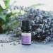 Elegant Lavender Angustifolia Essential Oil - Organic