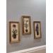 مجموعة لوحات حائط للديكور على شكل زهور منقوشة من 3 قطع