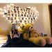2X1.5 Led Yellow Curtain With Heart Shaped Latch For Photo Hanging, Photo Album For Valentine Surprise