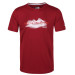 Regatta Fingal V Men's T-Shirt-Claret Red