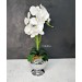 Decor With A Large White Orchid Arrangement In A Silver Ball Vase