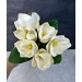 Wet Magnolia Bouquet Cream