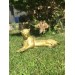 تمثال فهد زخرفي للديكور لون ذهبي
