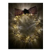 Led Lighted Door Ornament