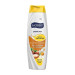 Hobby Shampoo Repair Care Natural Oil Essences Argan Daisy Flower Extract 600 Ml