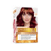 L'oreal Paris Dark Red Hair Dye 6.66