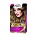 Palette Kit Hair Color 8.0
