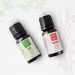 Coho Natural Thyme & Palmarosa Aromatherapy Censer Oil Set - 2 Pieces