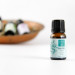 Coho Natural Lavender & Eucalyptus Aromatherapy Censer Oil Set - 2 Pieces