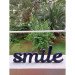 Smile Wooden Decorative Sign 42Cm