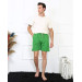 Men's Lacoste Pistachio Green Shorts