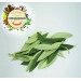 Olive Leaf 1 Kg