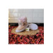 Wool And Fur Inside Waterproof Orthopedic Winter Girls Winter Boots Shoes Pink 29