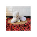 Wool Inside Waterproof Orthopedic Winter Girls Winter Boots Shoes Cream 28