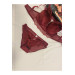 Women Velvet Bra Slip Set Claret Red