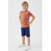 Boy Licensed Chirping Pattern Tshirt Shorts Set