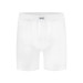 Tolin 3 Pack Cotton Mens White Boxers