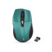 Metallic Green Usb Silencer Wireless Mouse
