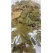 Ginkgo Biloba Leaf 25 G