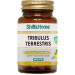 تريبولوس تيريستريس مكمل غذائي 60 كبسولة