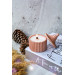 Single Covered Amber Vanilla Scented Decorative Concrete Soy Candle Holder